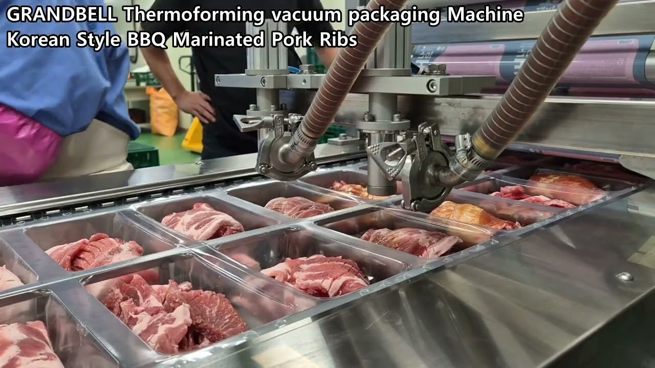 [GRANDPACK] Thermoforming vacuum packaging machine GP360 + Filling machine, Marinated Pork Ribs