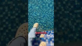 No tenía que haber pisado el hielo 😨🧊