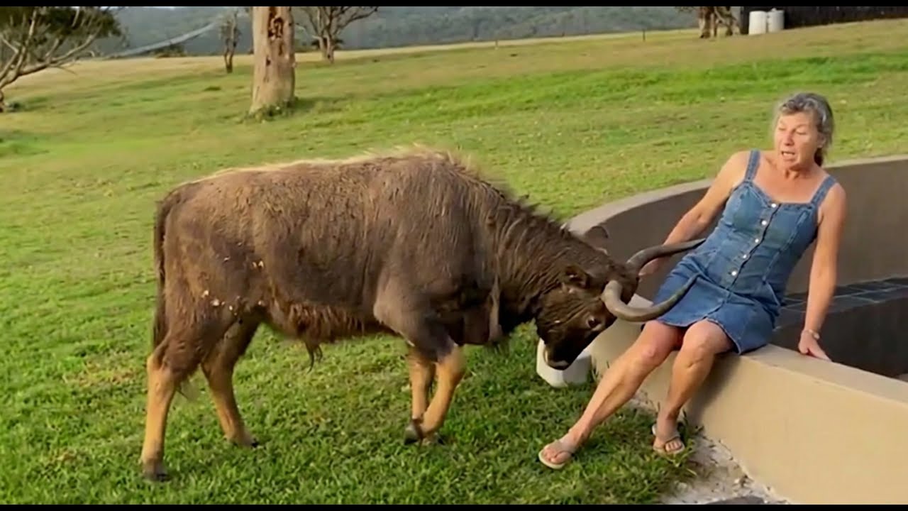 Try Not To Laugh Challenge | Funniest Fail Videos of The Week 2026 (Part 7)