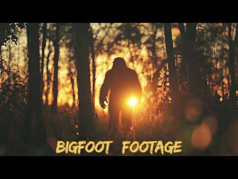 6 Pieces of Footage That Fuel the Bigfoot Mystery