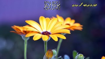 من سورة مريم | قصة إبراهيم عليه السلام