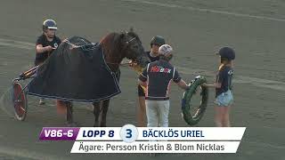 Vidéo de la course PMU PRIX JASPE ROUGE