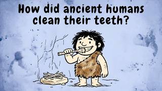 How Did Ancient Humans Clean Their Teeth?#human #history #old