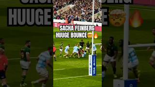 Massive Rugby Bounce Sacha Feinbeg Mngomezulu Springboks Vs Argentina