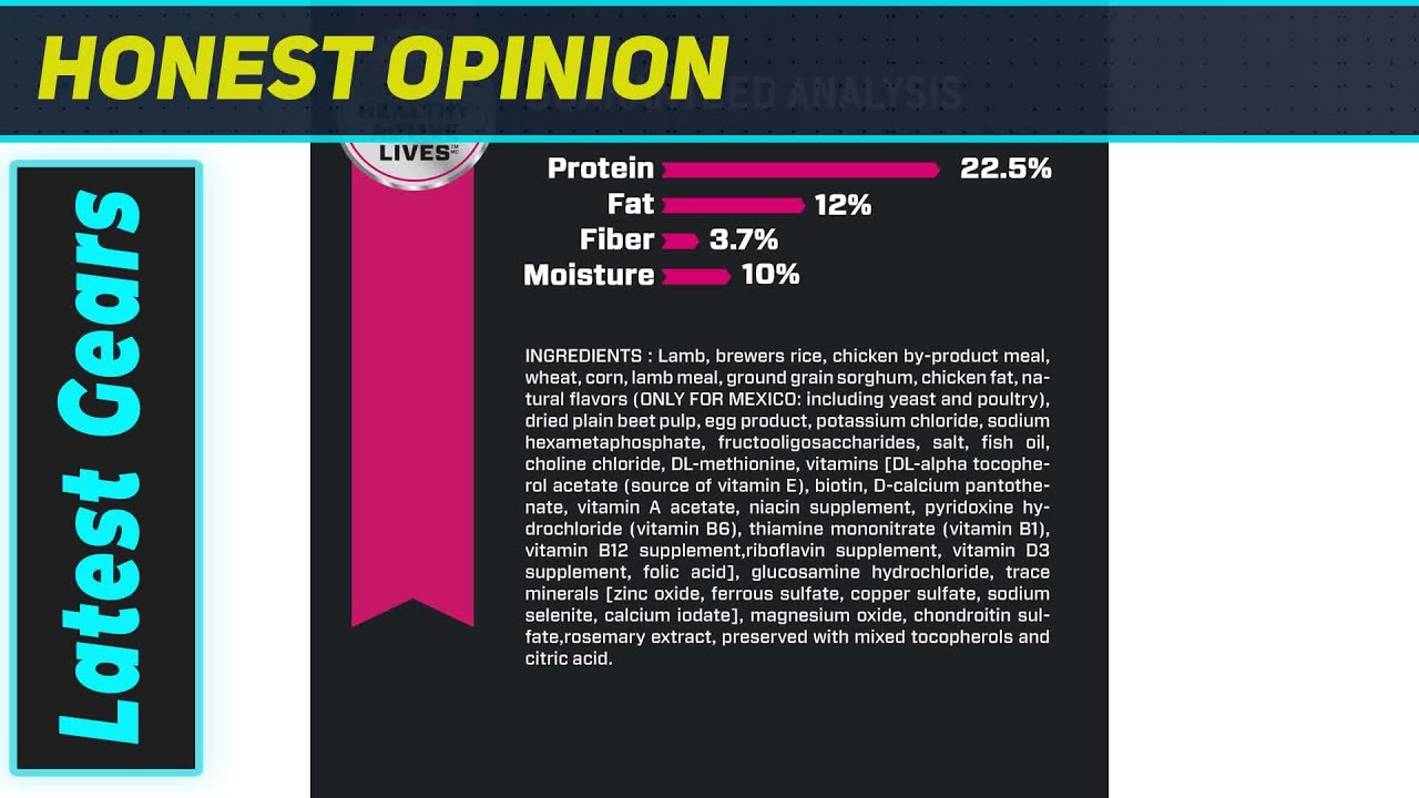 Eukanuba Lamb: The BEST Food for Your Large Breed Dog?