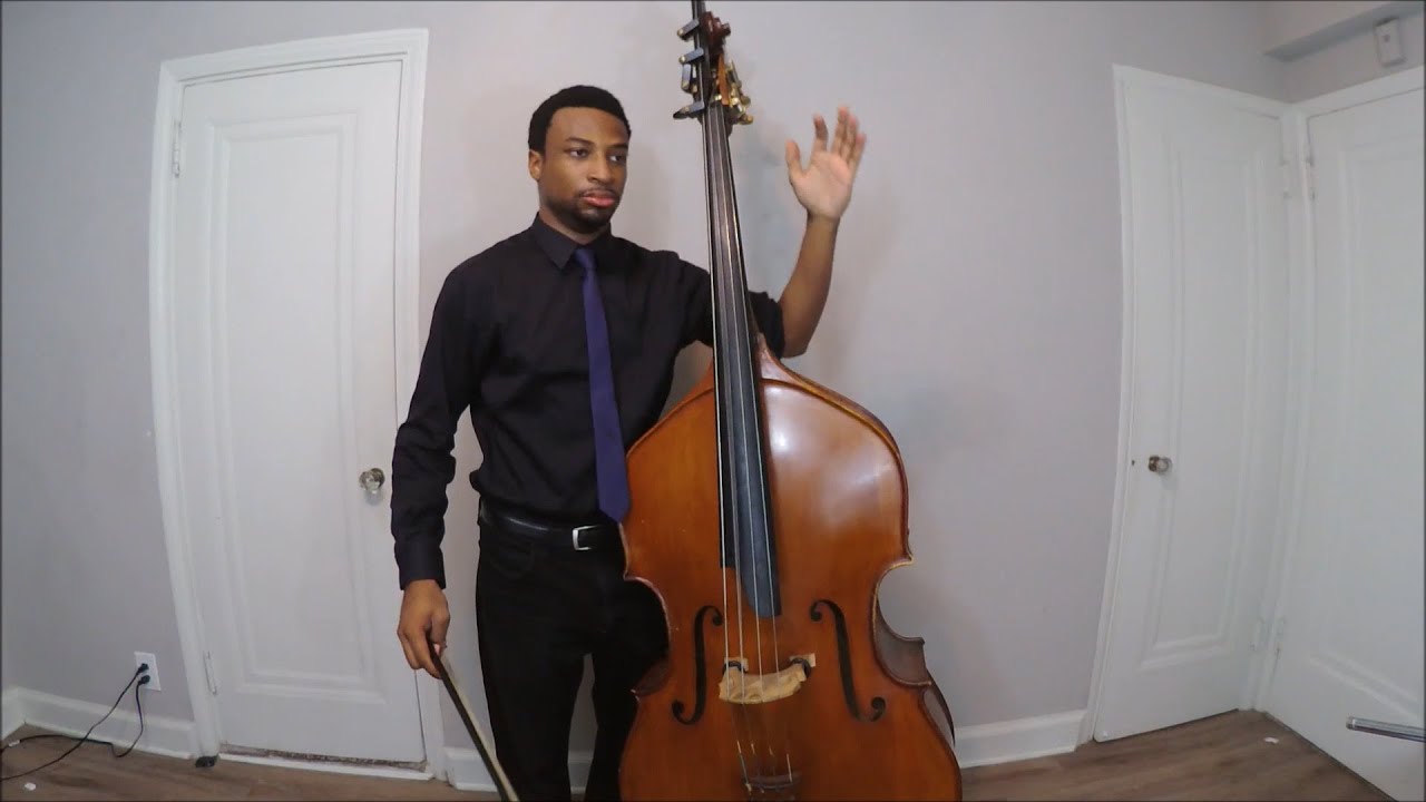 Bundle Pack Etudes 1 12 For Solo Double Bass Iplaybass Llc