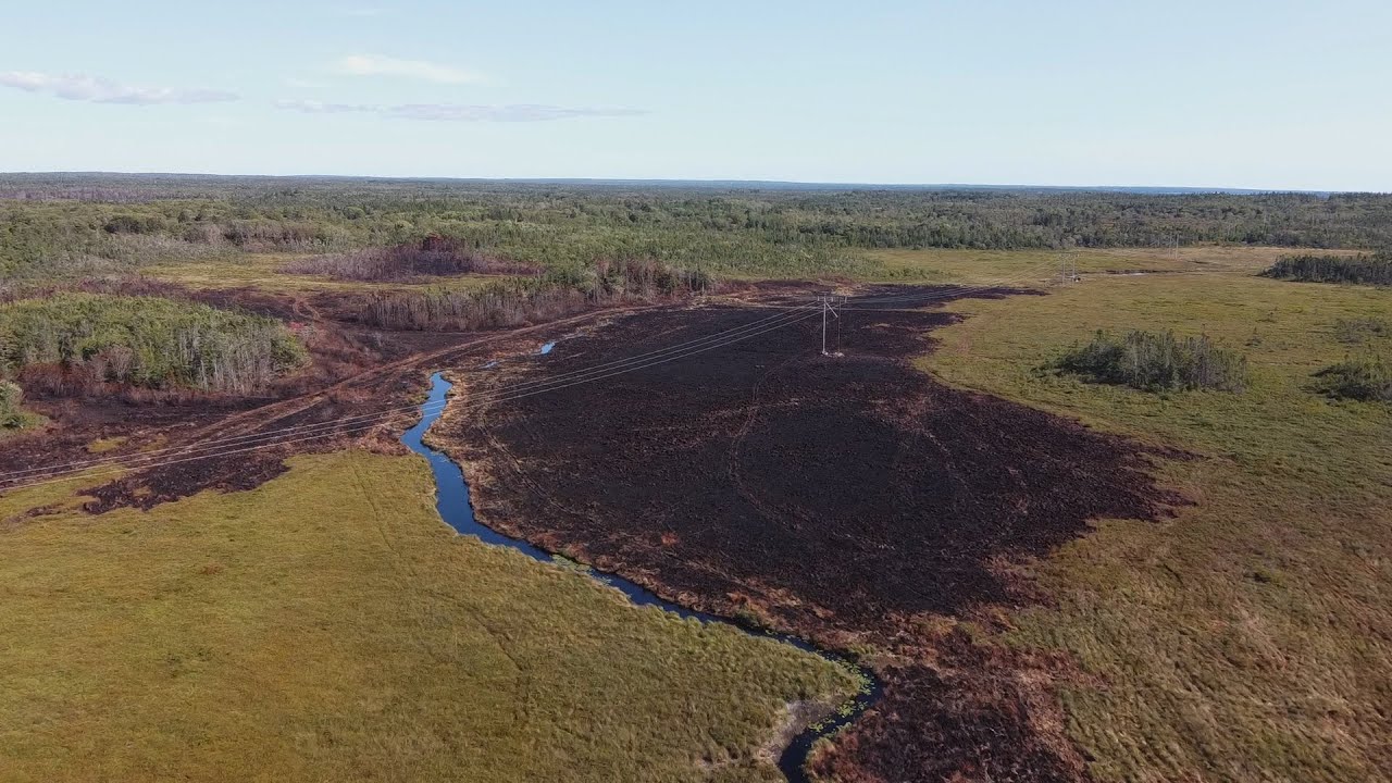 Aftermath of Argyle Forest Fire 2020 - Mavic Mini