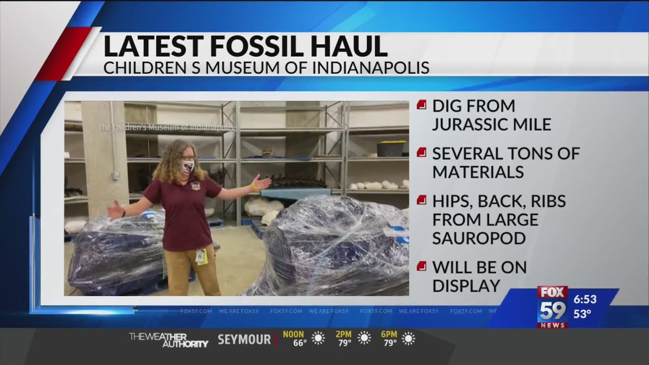 FOX59 News This Morning: Latest fossil haul