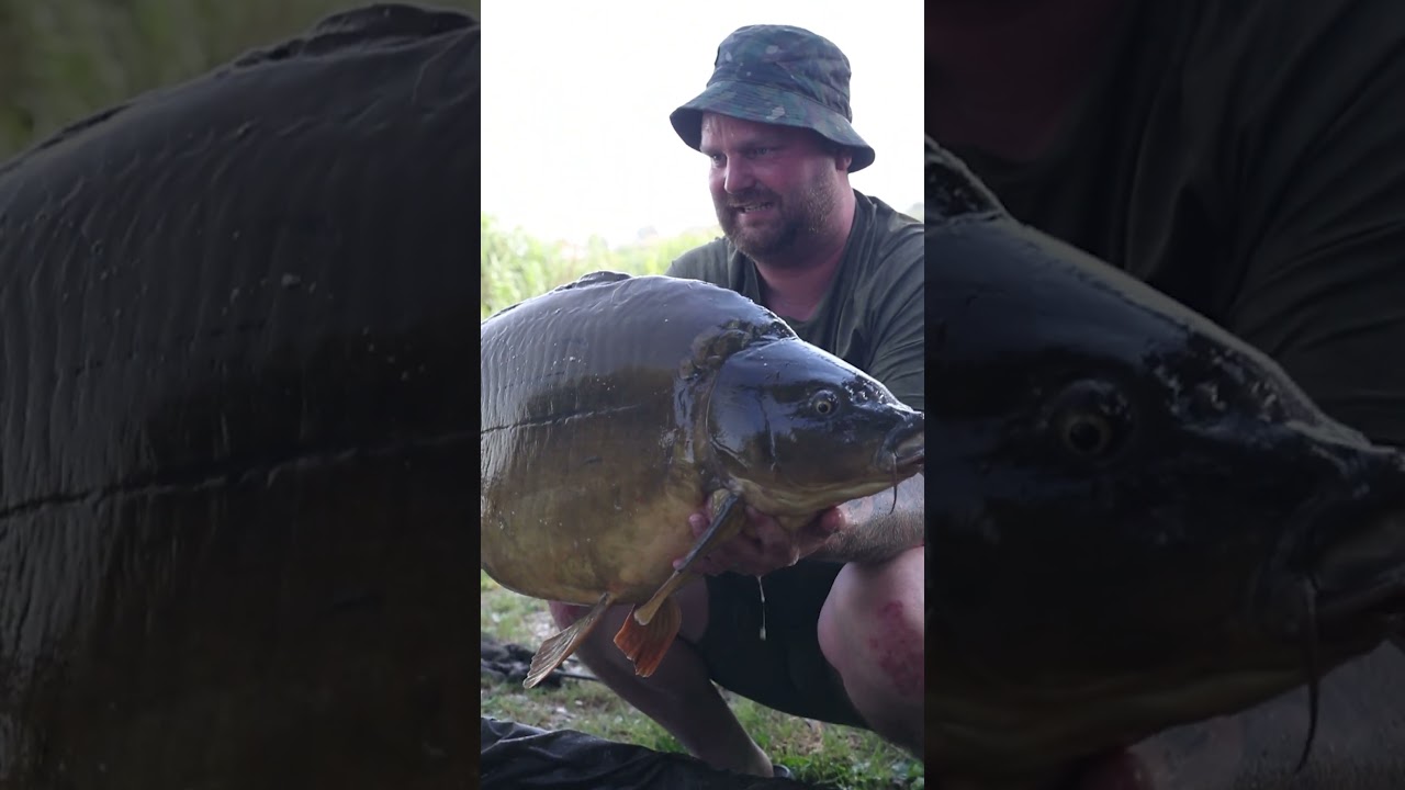Catching Giant Carp in Italy 