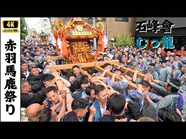 赤羽馬鹿祭り】石峰會・むつ龍のお神輿 ～2025年～ - YouTube