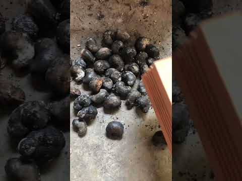 Hạy điều nướng