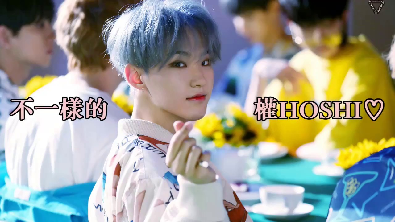 [SEVENTEENHOSHI]不一樣的權HOSHI♡