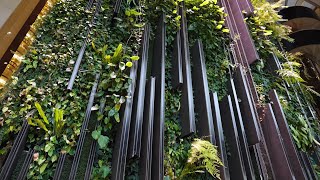 The Garden Gurus - International Gardens Singapore Gardens - Part 5