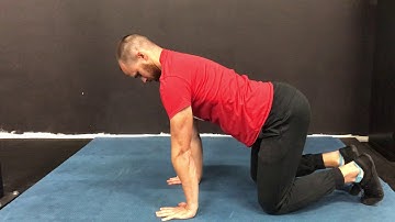 Quadruped Shoulder/Scapular Circles