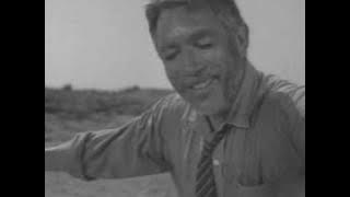 Greek Zorba Alexis Zorbas