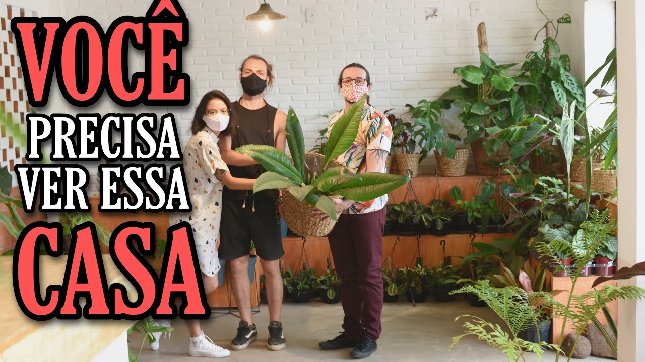 CONHEÇA um OÁSIS de PLANTAS RARAS - Casa Botânica