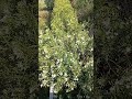 صلوا على النبي لا اله الا الله دعاء مستجاب الله اكبر اللهم صل وسلم على نبينا محمد اكسبلور ﷺ