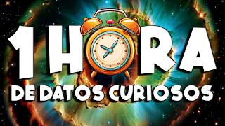 ¡ 1 HORA sin pausas de DATOS CURIOSOS y COSAS QUE NO SABÍAS ! ⏰😲1007 #curiomaníatv