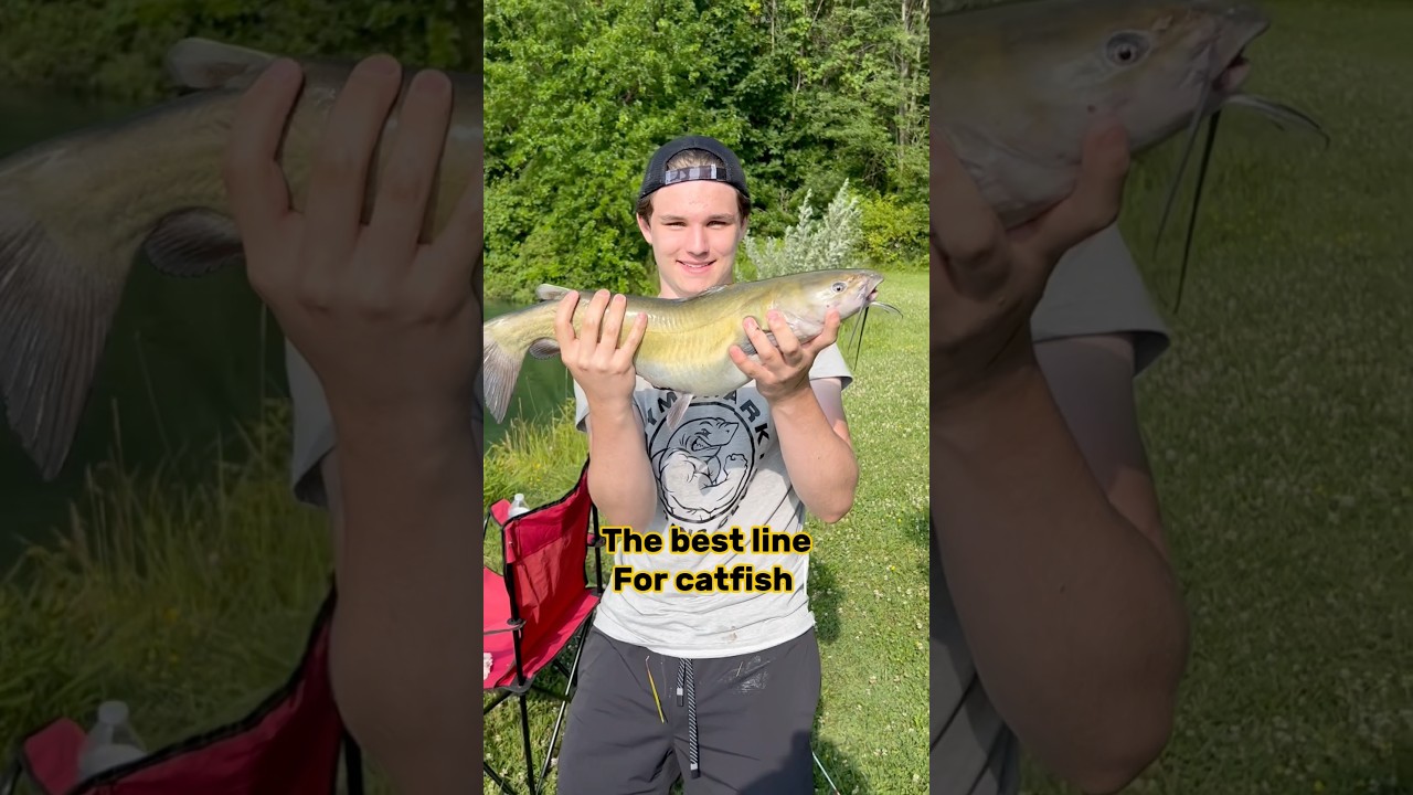 BEST Line For Catfish - Fishing Videos Tips!! 