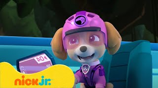 The Pups Get New Animal Vehicles! | Paw Patrol | Nick Jr. Uk