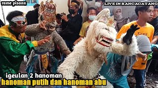 IGEULAN 2 HANOMAN PUTIH DAN HANOMAN ABU❗LINGKUNG SENI REAK RAJAWALI (SPMS)💥PENTAS DI KP RANCACATANG❗