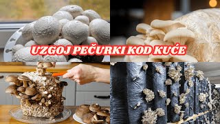 Nevjerovatno Lako Pečurke Kod Kuće Za Početnike