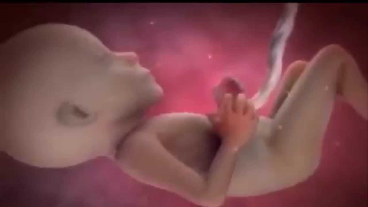 Как определить пол ребенка