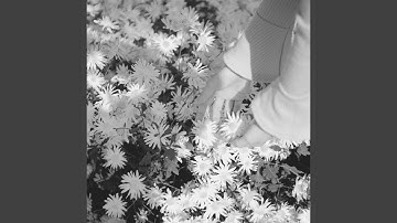 Sparkling Ambience for Unwinding from Work