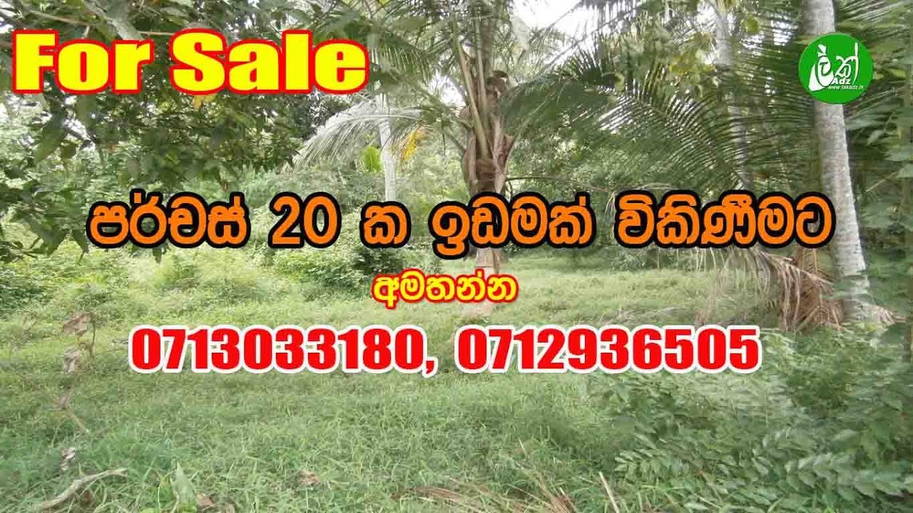 Land for sale Kurunegala. YouTube