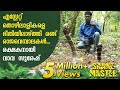 WOW! Vava Suresh turns saviour of two King Cobras that terrorized estate owners | Snakemaster