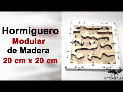 Hormiguero modular de