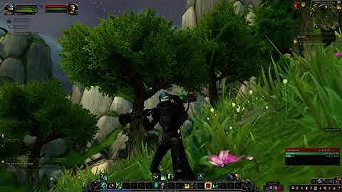 Forsaken Female Monk (Brewmaster) Idle Animation