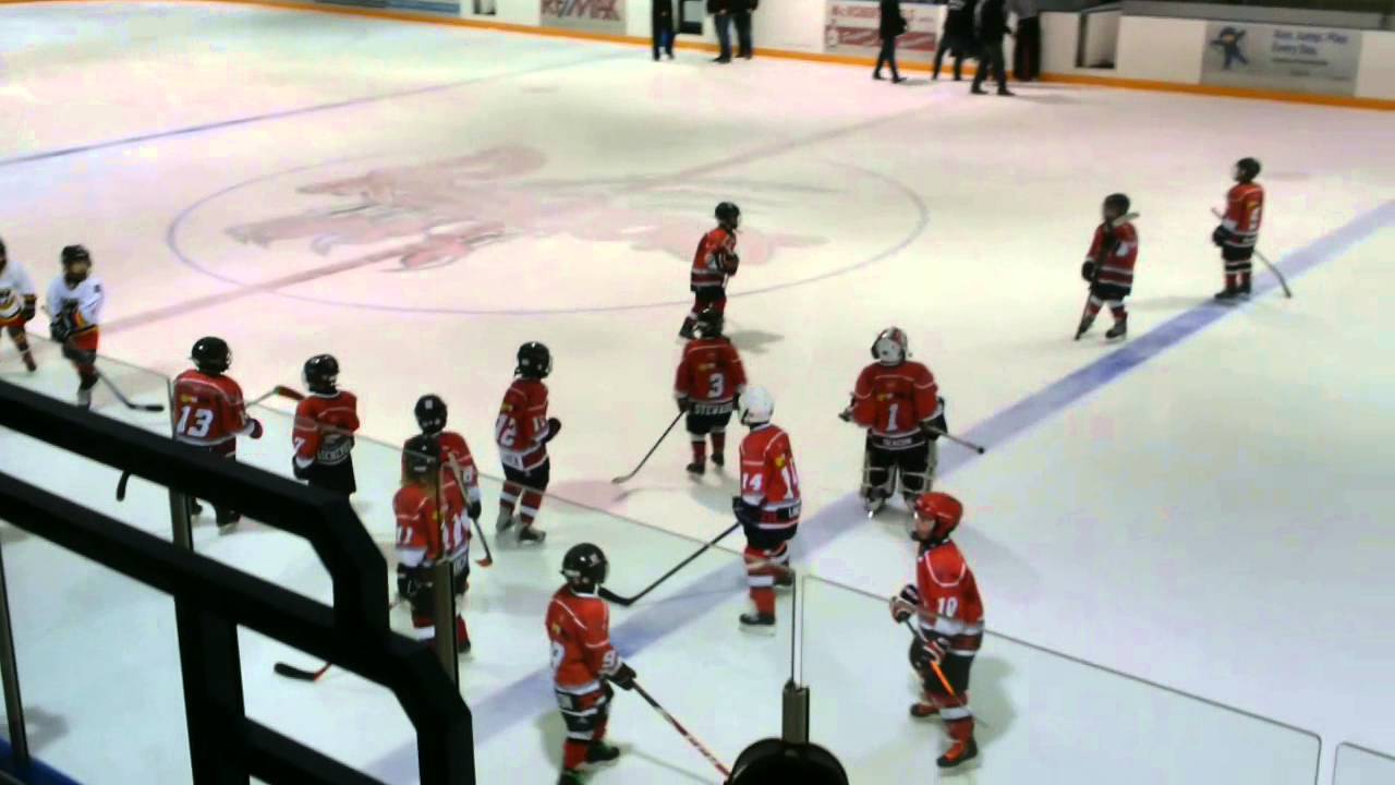Ayr Flames win Lambton shores tournament YouTube