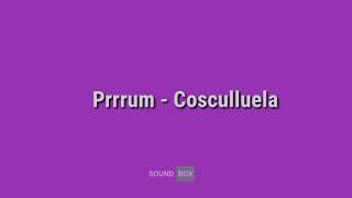 Prrrum - Cosculluela