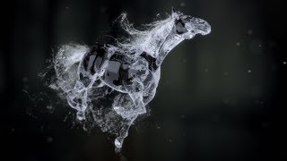 Splashing Horse Logo Reveal | After Effects Template | Logo Stings