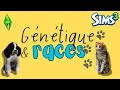 Un caniche mélanger a un pitbull sa donne quoi ??😅 | Génétique et races 🐶🐱🧬 | Sims 3
