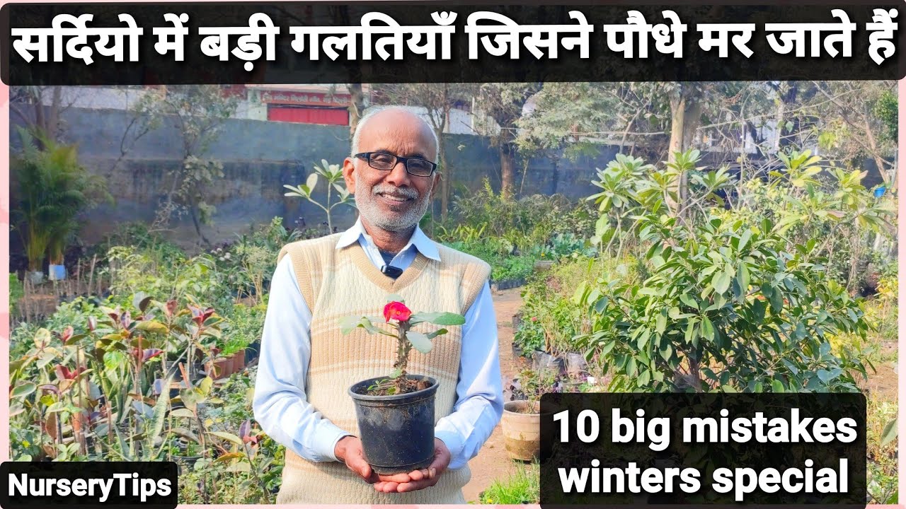 सर्दियो में 10 बड़ी गलतियाँ जिसने पौधे मर जाते हैं | 10 big mistakes in the garden | NurseryTips |