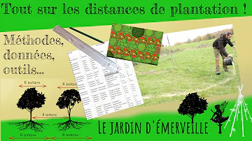 Comment planter plusieurs arbres fruitiers ?