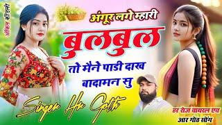 New Viral #trending song अंगूर लगे म्हारी बुल बुल तो मैने पाडी दाख बादामन सु Singer HR gurjar goth 