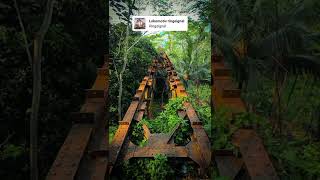 Begini Rasanya Naik Kereta Api Zaman Belanda Di Jalur Ka Banjar Cijulang Pangandaran pangandaran