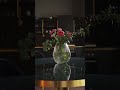 Suite.030 - Unsere schönsten Luxus Highclass Apartments für deine Staycation in Berlin