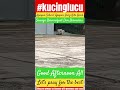 Semoga Semua Senantiasa Dalam Kebaikan Dan Kemudahan #yasirlana #kucinglucu #viral #new #trending