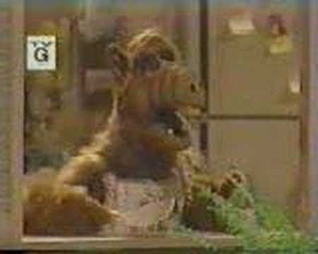 Alf tries to eat the cat