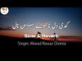 Loko Kadi Dil Na Laway Sohna Nal Slow And Reverb Ll Ahmad Nawaz Cheena Loko Kadi Dil Na Laway Sohna Nal Slow And Reverb Ll Ahmad Nawaz Cheena