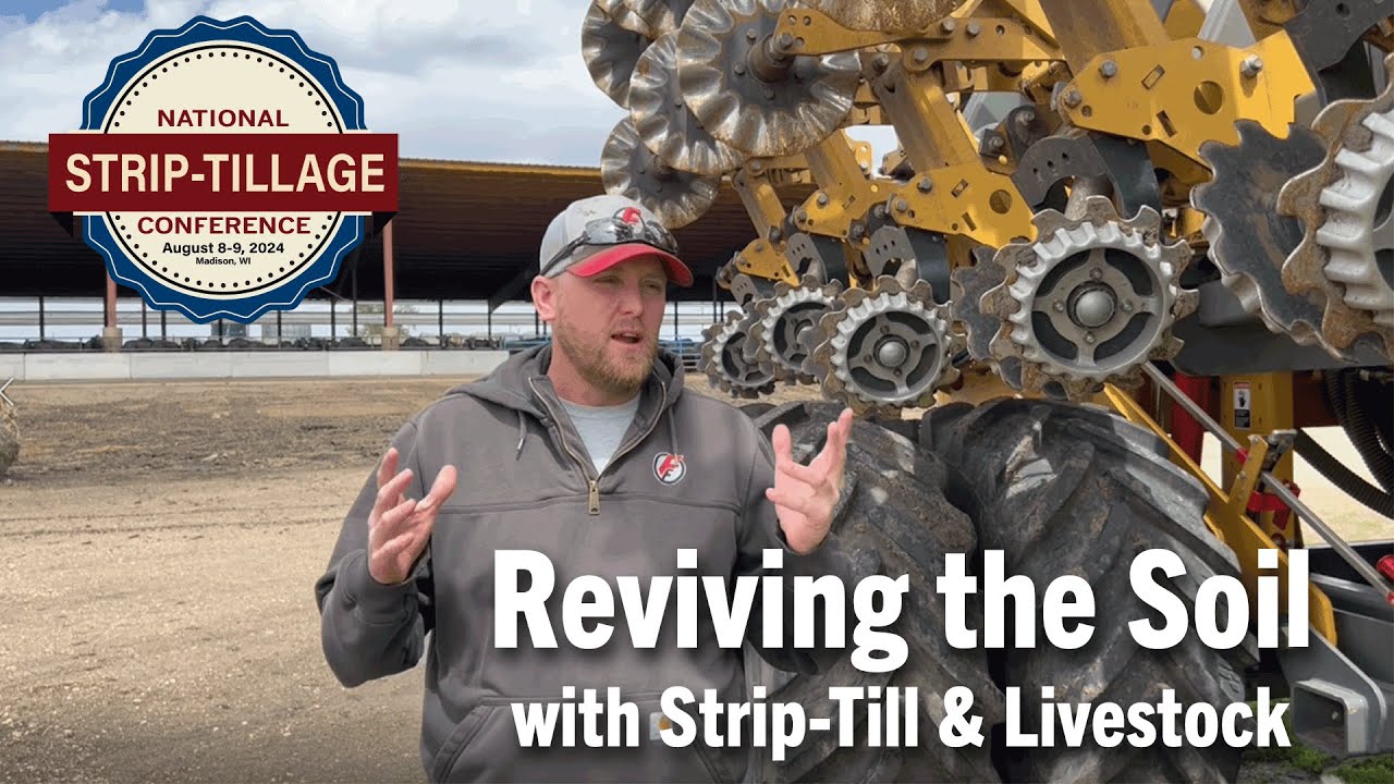 Reviving the Soil with Strip Till & Livestock
