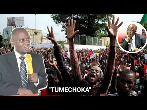 Video: Acepromazine: Kwanini Mimi Sio Shabiki Mkubwa Linapokuja Suala La Kutuliza Kupitia 'ace