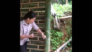 Full Single Mom Builds a Hidden Bamboo House in the Forest  Living Alone & Self Sufficient News