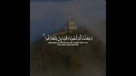 القارئ |محمد هشام حسن 🌹🕊 #quran
