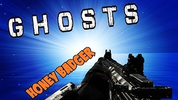 Call Of Duty Ghost Best Class setup Honey Badger(Assault Rifle)