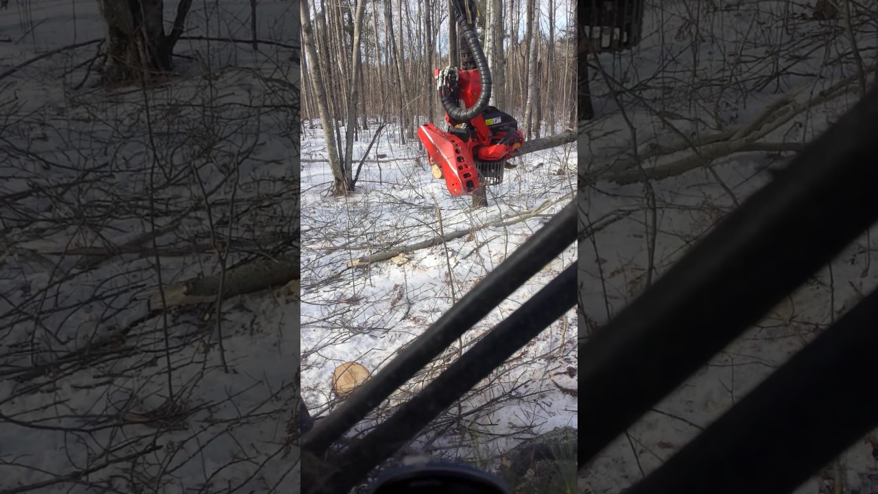 SP 561 LF Rottne H14B